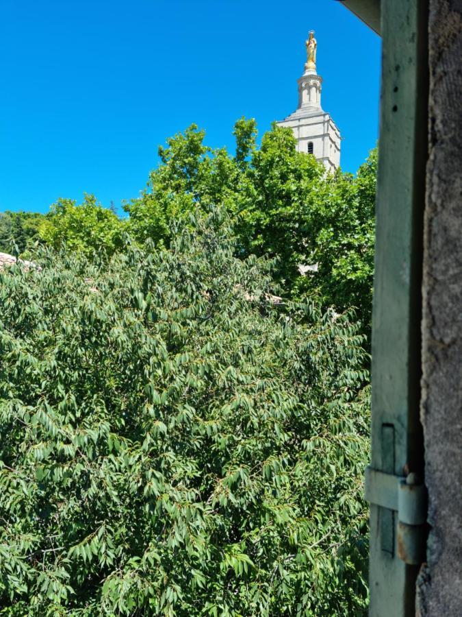 Un Nid Sur Les Toits Face Au Palais Des Papes Apartment Avignon Exterior photo