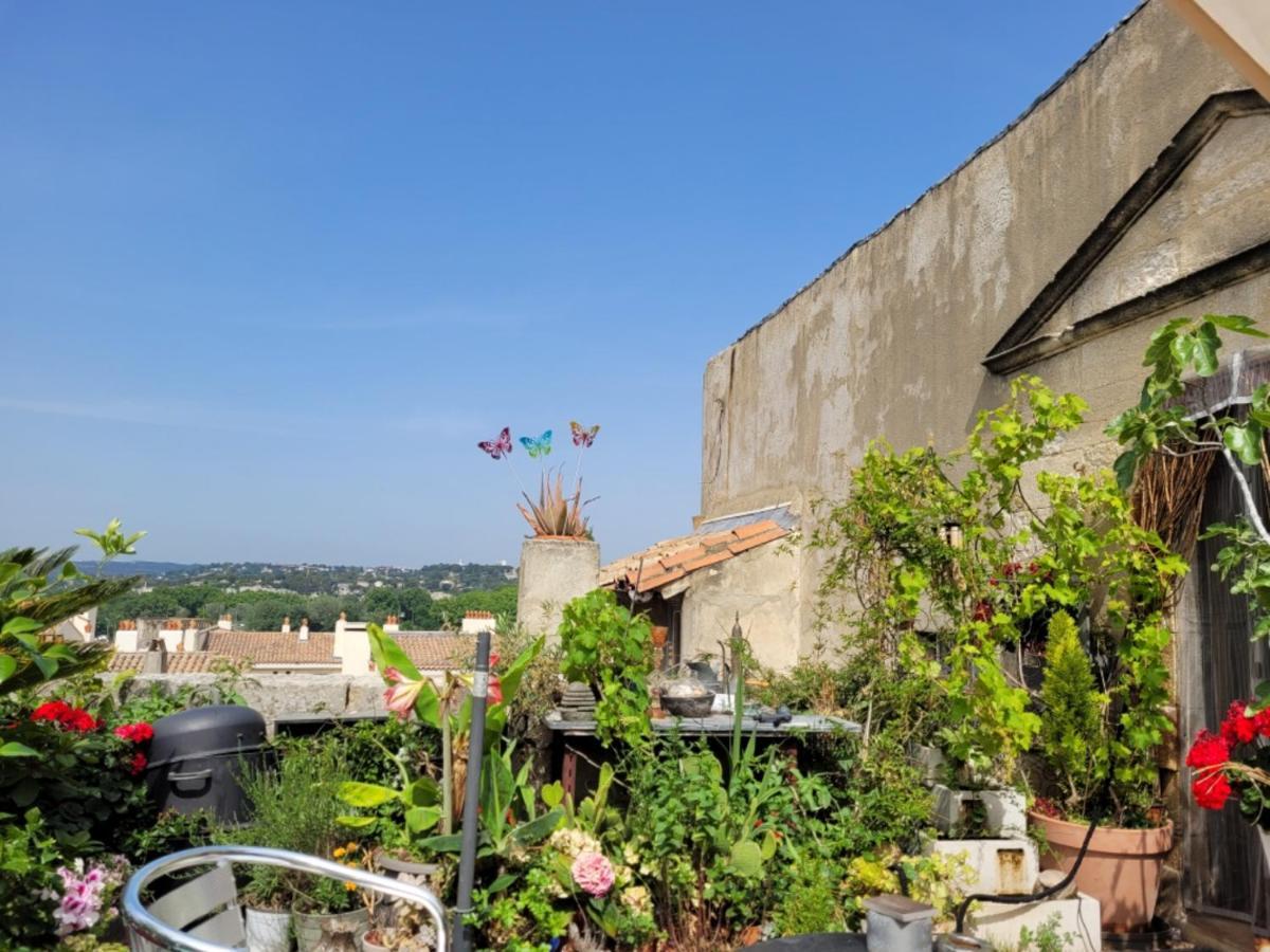 Un Nid Sur Les Toits Face Au Palais Des Papes Apartment Avignon Exterior photo
