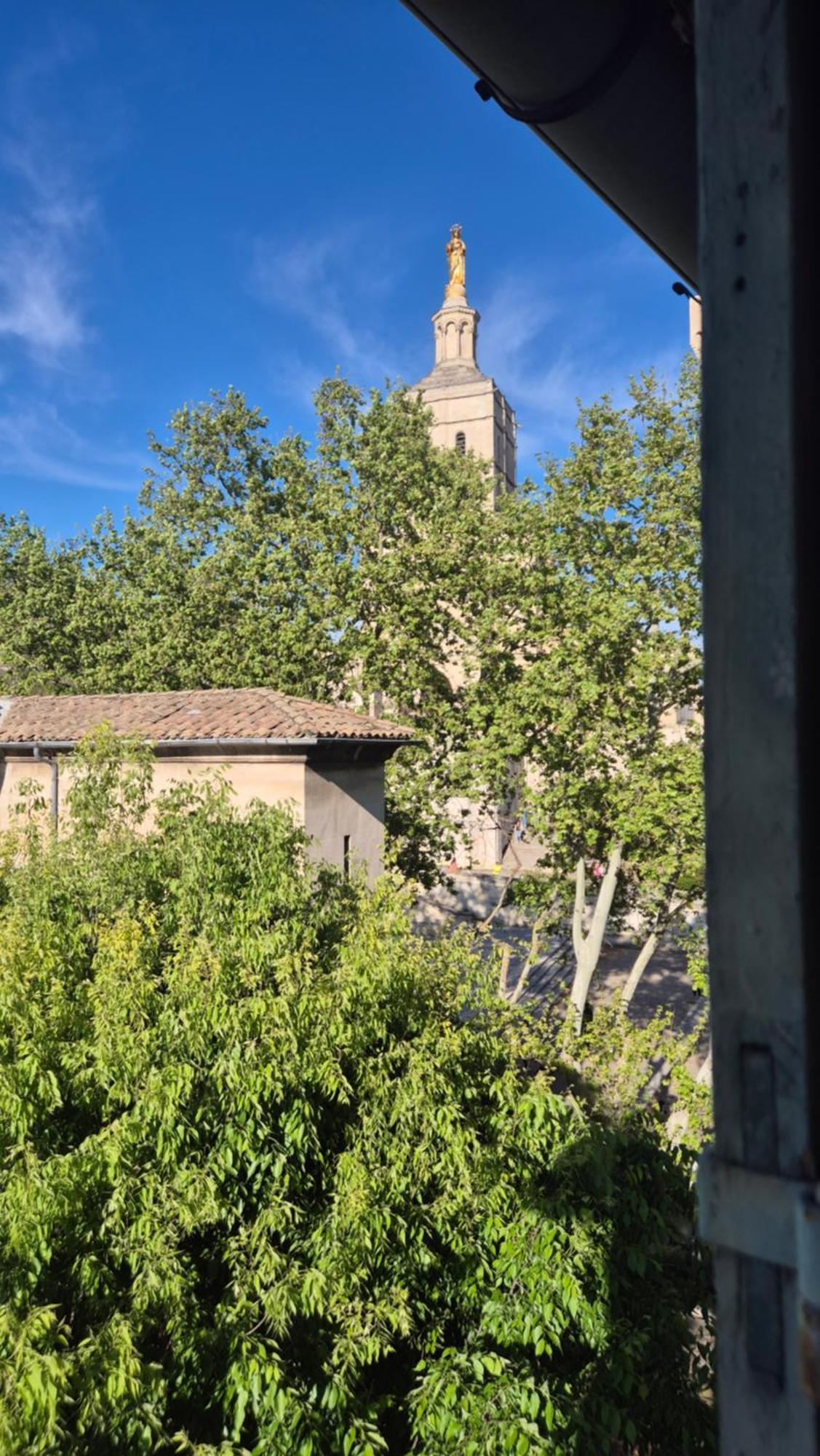 Un Nid Sur Les Toits Face Au Palais Des Papes Apartment Avignon Exterior photo